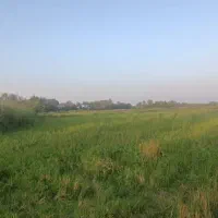 زمین شالیزار به متراژ ۱۲۰۰۰ متر بر آسفالت|فروش دفتر صنعتی، کشاورزی، تجاری|آستانه اشرفیه, |دیوار
