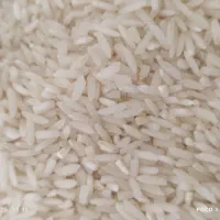 برنج طارم طلایی