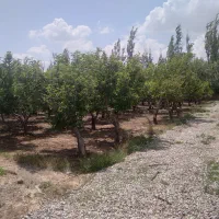 ۳۰۰مترباغچه دردماوندجابان سندتک برگ|فروش زمین و ملک کلنگی|تهران, افسریه شمالی|دیوار