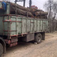 خرید چوب جنگلی و صنوبر در باغ