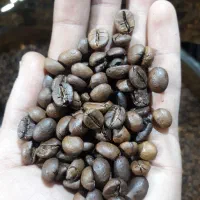 قهوه تازه رست بدون سنگ مناسب دکه و مارکت|عمدهفروشی|ساوه, |دیوار