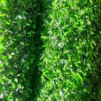 فروش عمده و خرده فنس چمنی|مصالح و تجهیزات ساختمان|ارومیه, |دیوار