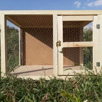 جفت کن کبوتر