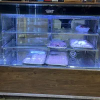 یخچال قصابی|فروشگاه و مغازه|تهران, سازمان برنامه شمالی|دیوار