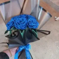 تنوع رنگ زیاد عکس اول350،دومی130،سومی100