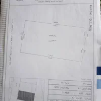 زمین شیخ زاهد ۲۴۴متری ویو دار