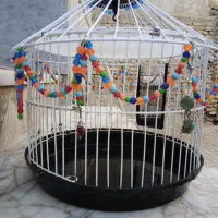 قفس پرنده