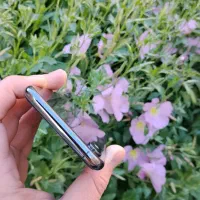 ایفون XS|موبایل|ارومیه, |دیوار