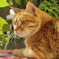 بیشترین تخفیف ممکن تا آخر این هفته