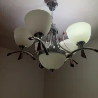 لوستر درحد نو