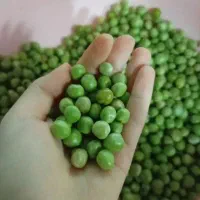 غذا خونگی و مربا خونگی ،فلافل ،ناگت