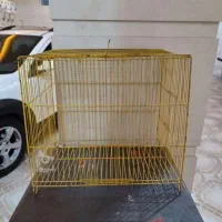 قفس سالم و بدون مشکل قیمت کم زدم زود فروش بره