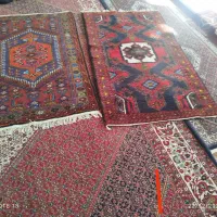 فرش دستبافت|فرش|زنجان, |دیوار