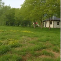 فروش زمین کوهستانی