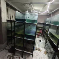 فروش سالن پرورش ماهی با تمامی تجهیزات و مدارک