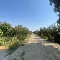 ۱۰۰۰ متر باغ بنا قدیمی کلنگی در شهریار میدان نماز|فروش خانه و ویلا|شهریار, رزکان|دیوار