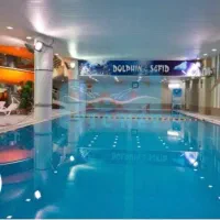 کارت استخر دلفین