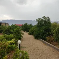 باغچه ۱۳۰۰ متری|فروش زمین و ملک کلنگی|کازرون, |دیوار