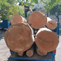 خرید چوبهای باغبانی و هیزمی هرس|خدمات باغبانی و درختکاری|کرج, کمالشهر|دیوار