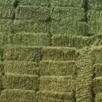 پرس یونجه شهری