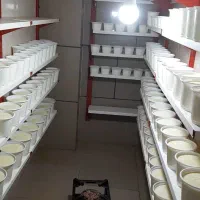 کاردرلبنیاتی