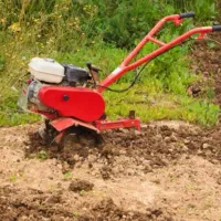 باغبانی، طراحی، نظارت، اجرا