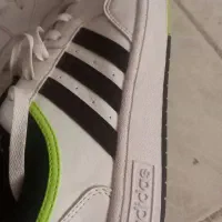 کیف کفش لباس کمربند