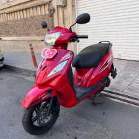 وگو 95 سند تک برگ