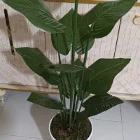 گل ودرختچه|گل مصنوعی|تهران, عباسی|دیوار