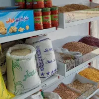 شریک وشراکتی