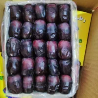 خرما مضافتی شهرستان بم