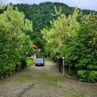 پلاک یک جنگل به معنای واقعی/شهرکی تو بافت با سند