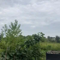 فروش زمین ۱۲۴ متری در آب و برق|فروش زمین و ملک کلنگی|رشت, آب و برق|دیوار