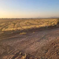 زمین کشاورزی با امکانات کامل|فروش زمین و ملک کلنگی|مبارکه, |دیوار