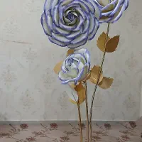 گل فومی کنار سالنی