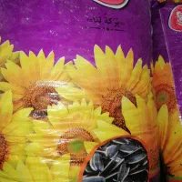 تخمه درجه یک|خوردنی و آشامیدنی|سرپل ذهاب, |دیوار