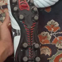 کفش استوک|کیف، کفش، کمربند|دوگنبدان, |دیوار