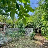 ویلا باغ 670متر/ مشجر و دلباز/ عرصه عیان/نعمت آباد|فروش خانه و ویلا|چمستان, |دیوار