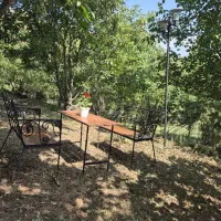 اجاره روزانه ویلا باغ جنگل سلانسر|اجارهٔ کوتاه‌مدت ویلا و باغ|رستم‌آباد, |دیوار