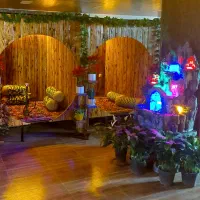 پرسنل خانم کار در کافه رستوران