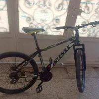 دوچرخه اینتنز