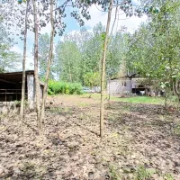فرصت استثنایی/دامداری بامجوز/با خانه قابل سکونت|فروش دفتر صنعتی، کشاورزی، تجاری|لشت نشا, |دیوار