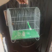 قفس جای پرنده سهره