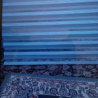 پرده زبرا پرده. پانج