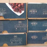 خرمای تلسکوپی ۱ کیلویی