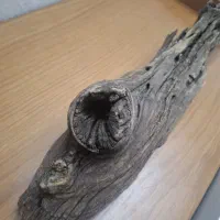 آبنوس بلک واتر|ماهی|تهران, منیریه|دیوار