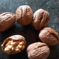 فروش گردو