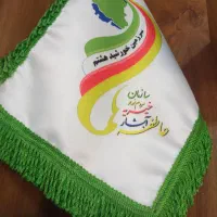 همکار خانم