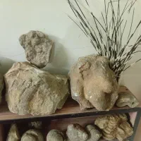 سنگ فسیل