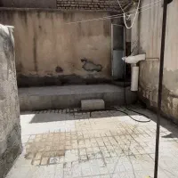 اجاره آپارتمان ۱۰۰ متری ۱ خوابه همکف در ابوطالب|اجارهٔ آپارتمان|مشهد, گلبرگ|دیوار